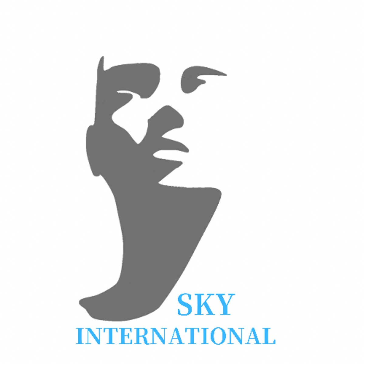 SKY INTERNATIONAL